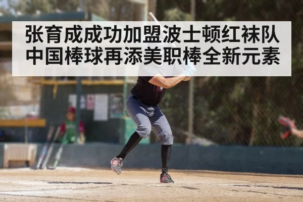 张育成成功加盟波士顿红袜队 中国棒球再添美职棒全新元素