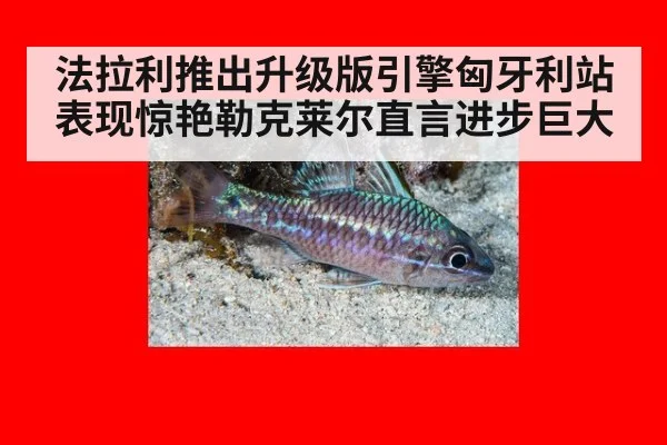 法拉利推出升级版引擎匈牙利站表现惊艳勒克莱尔直言进步巨大